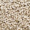 CASHEW NUTS SK1