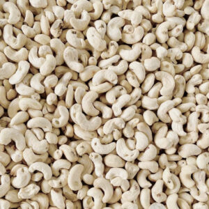 CASHEW NUTS SL