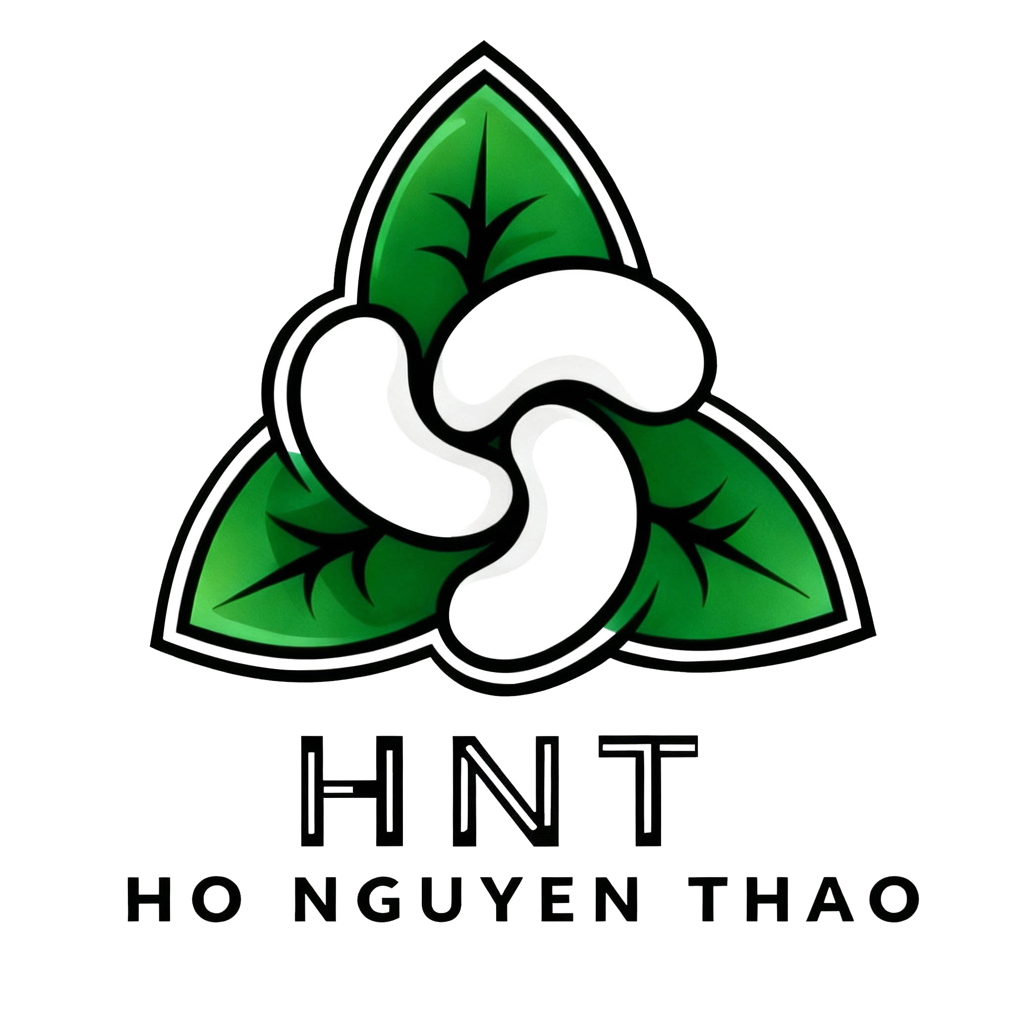 HNT Cashew logo