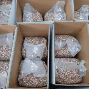 PACKING IN VACUUM BAG 2X10KG PER CARTON